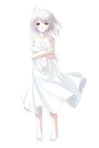 BUY NEW white clarity - 65267 Premium Anime Print Poster